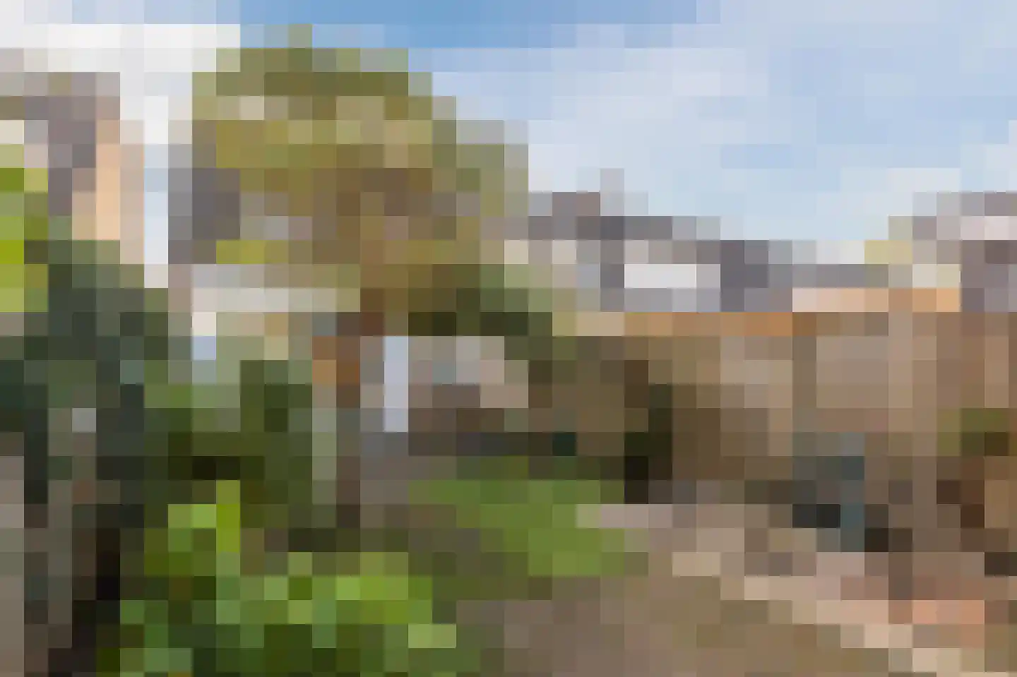 Zeearend 70 Heerhugowaard thumbnail 51