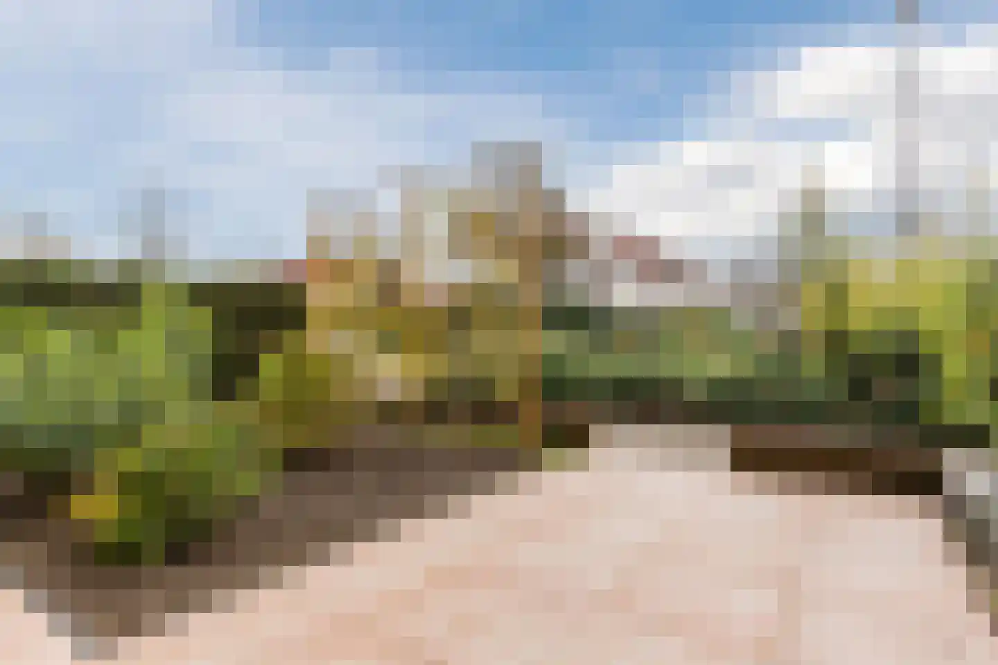Zeearend 70 Heerhugowaard thumbnail 8