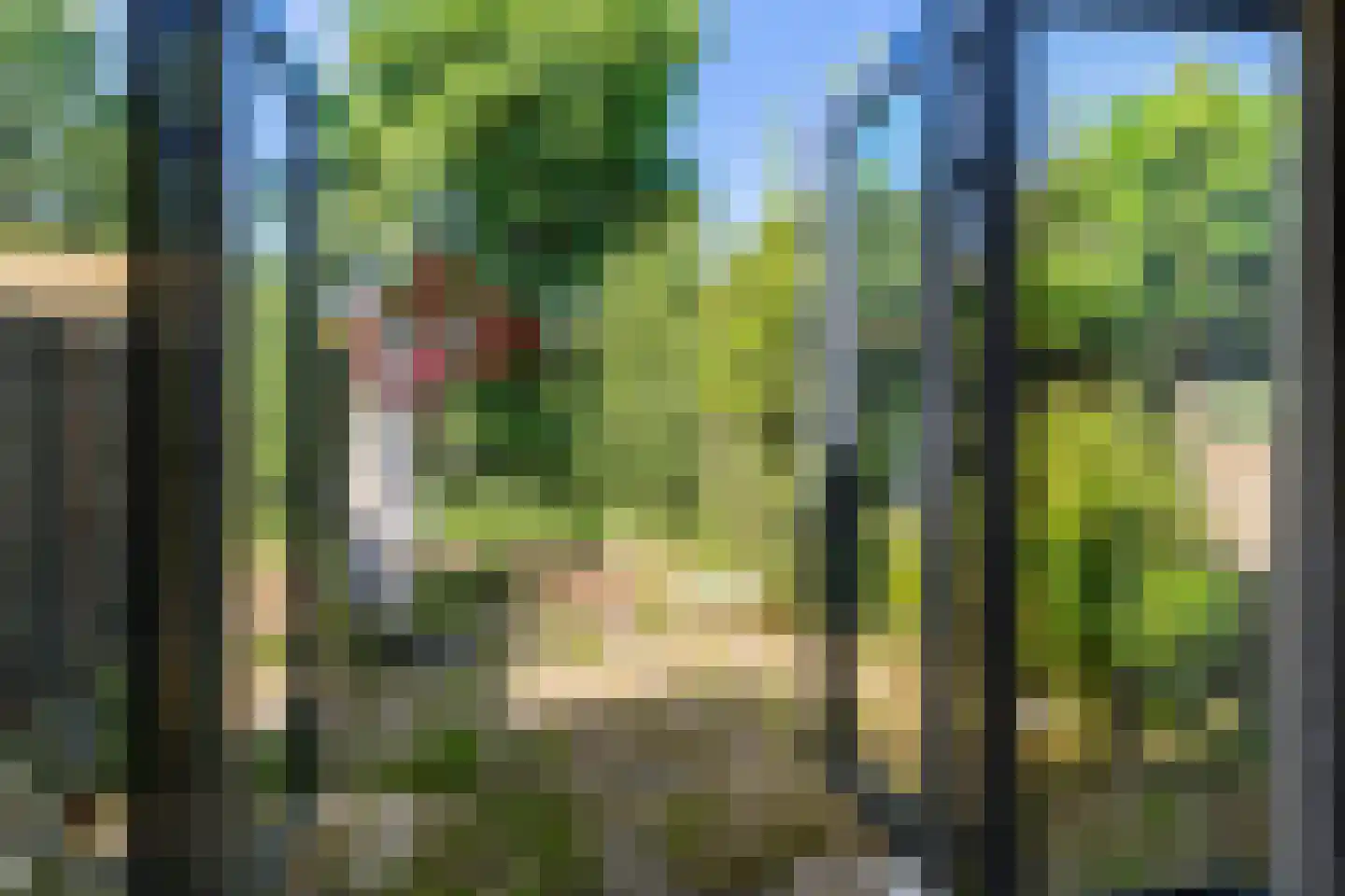 Zeearend 86 Nieuwegein thumbnail 14