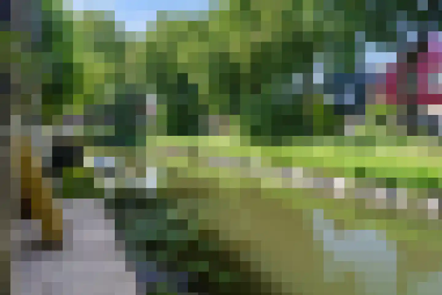 Zeearend 86 Nieuwegein thumbnail 16