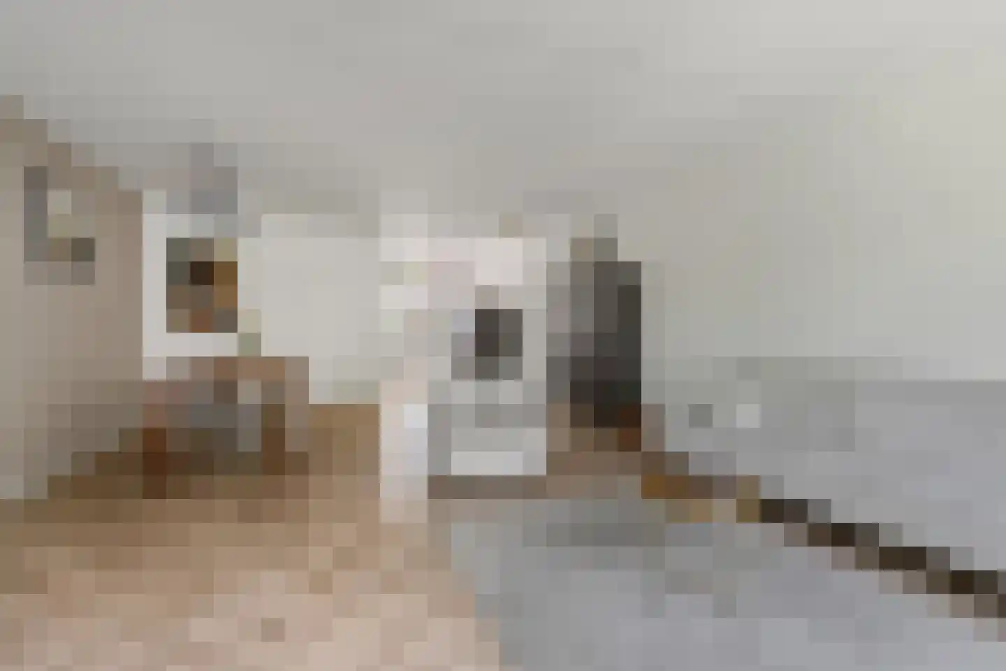 Zeearend 86 Nieuwegein thumbnail 8