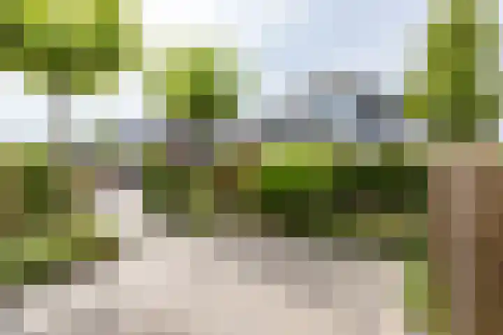 Zeearendlaan 14 A Almere thumbnail 11