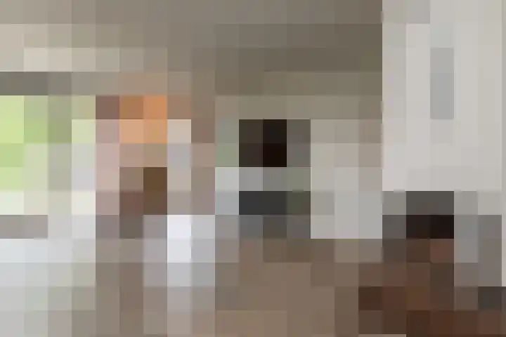 Zeearendlaan 14 A Almere thumbnail 18