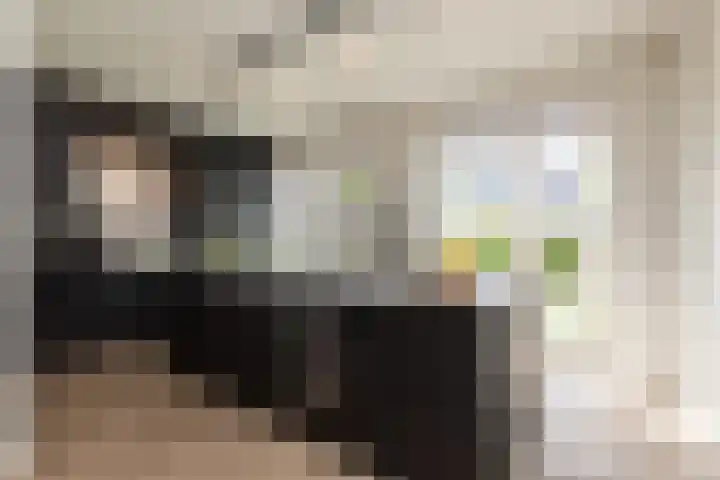 Zeearendlaan 14 A Almere thumbnail 27
