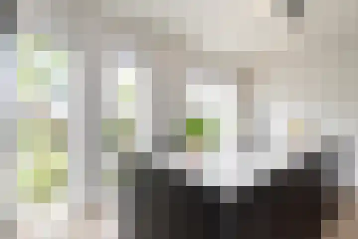 Zeearendlaan 14 A Almere thumbnail 29