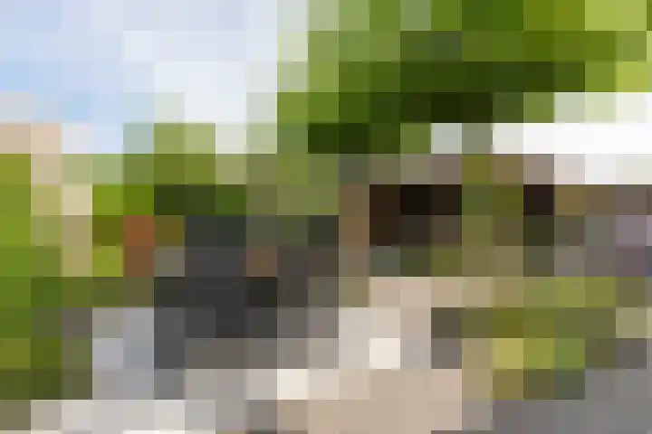 Zeearendlaan 14 A Almere thumbnail 34