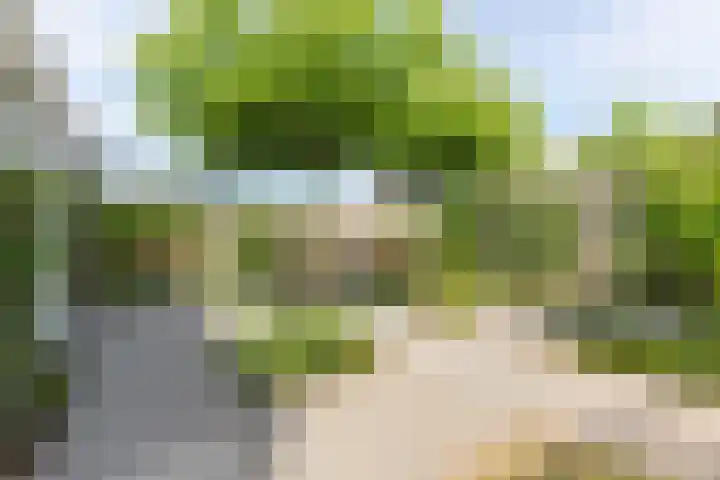 Zeearendlaan 14 A Almere thumbnail 35