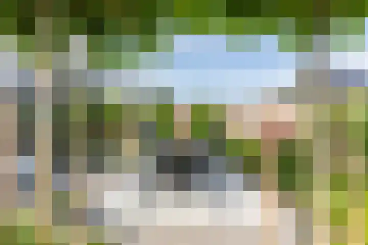 Zeearendlaan 14 A Almere thumbnail 36