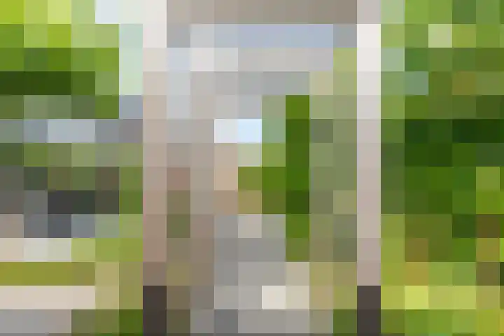 Zeearendlaan 14 A Almere thumbnail 37