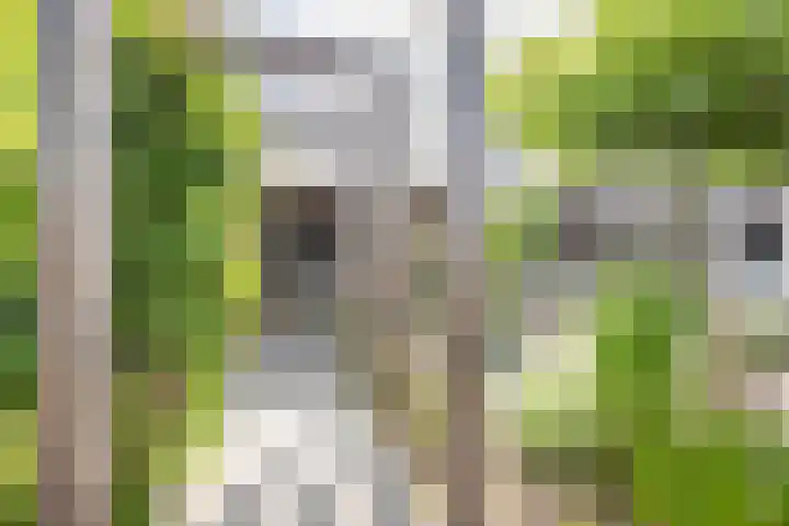 Zeearendlaan 14 A Almere thumbnail 38