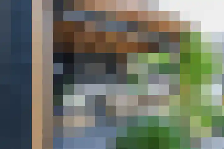 Zeearendlaan 14 A Almere thumbnail 39
