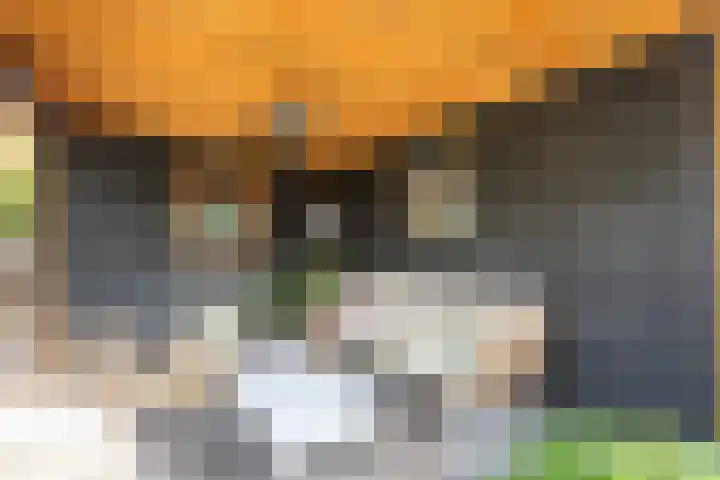 Zeearendlaan 14 A Almere thumbnail 40