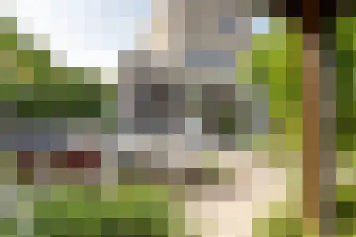 Zeearendlaan 14 A Almere thumbnail 42