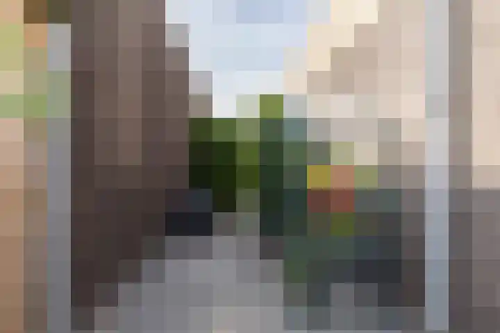 Zeearendlaan 14 A Almere thumbnail 43
