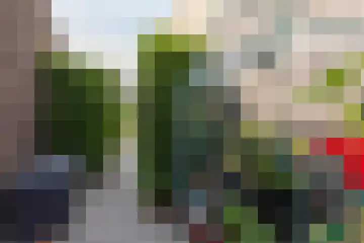 Zeearendlaan 14 A Almere thumbnail 44