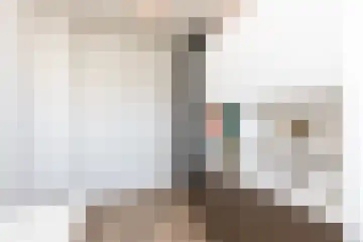 Zeearendlaan 14 A Almere thumbnail 54