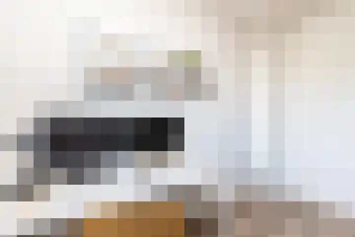 Zeearendlaan 14 A Almere thumbnail 55