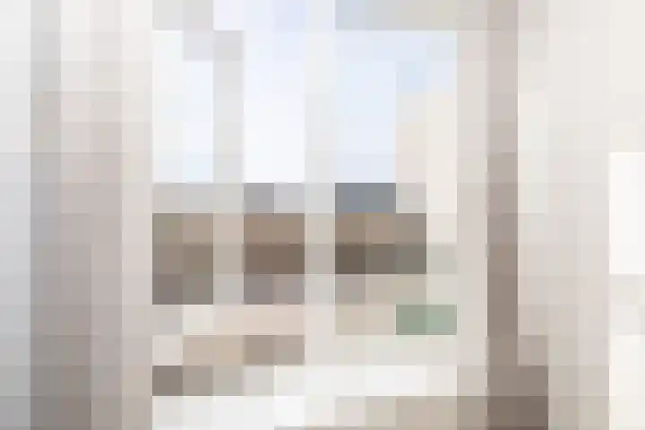 Zeearendlaan 14 A Almere thumbnail 66