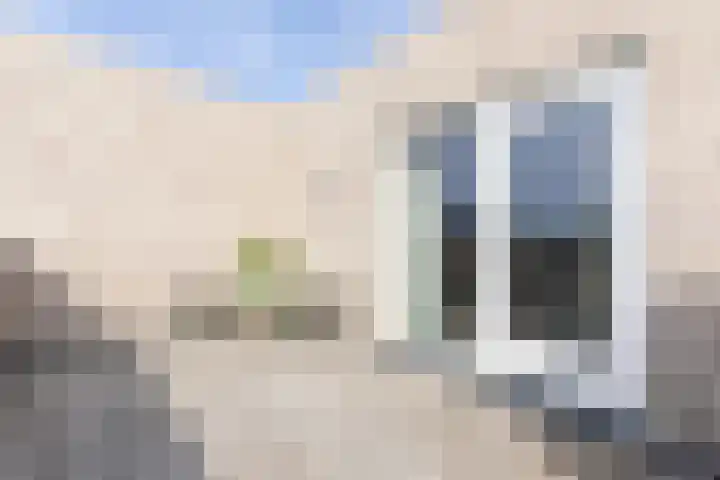 Zeearendlaan 14 A Almere thumbnail 68