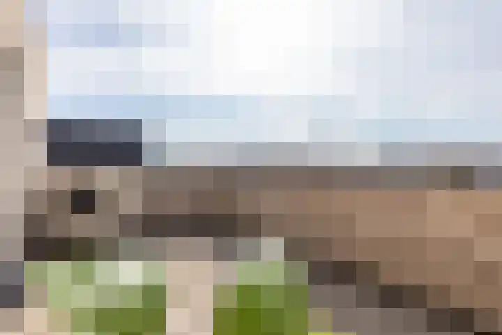 Zeearendlaan 14 A Almere thumbnail 69