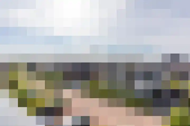 Zeearendlaan 14 A Almere thumbnail 70