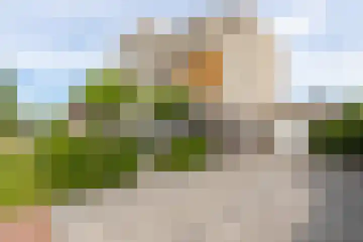 Zeearendlaan 14 A Almere thumbnail 8