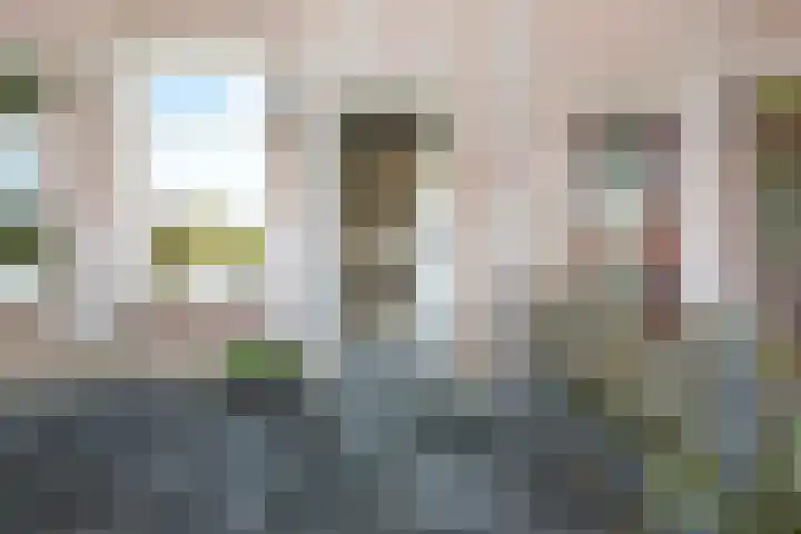 Zeeaster 3 Oosthuizen thumbnail 10