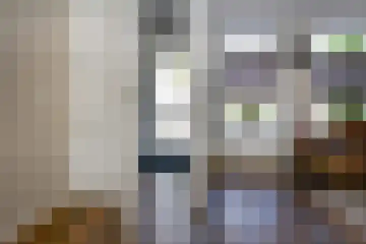 Zeeaster 3 Oosthuizen thumbnail 11
