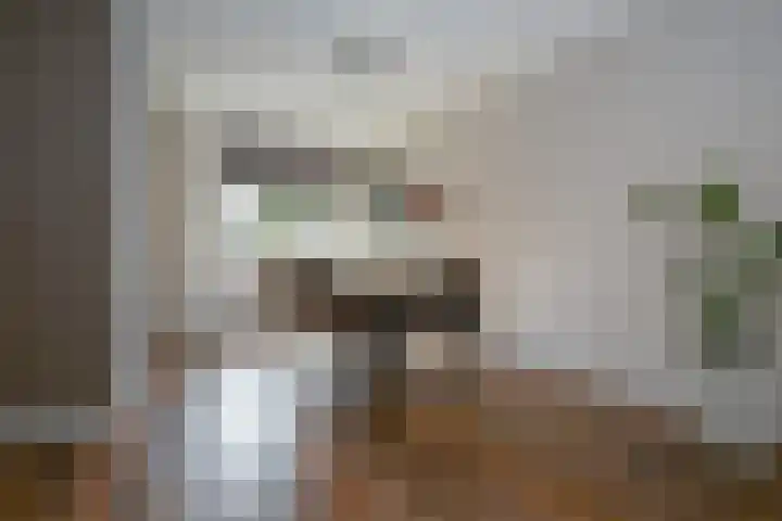 Zeeaster 3 Oosthuizen thumbnail 16