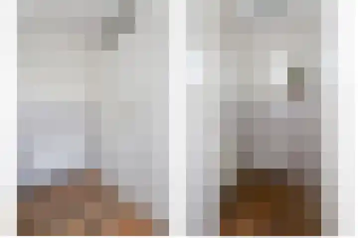 Zeeaster 3 Oosthuizen thumbnail 22