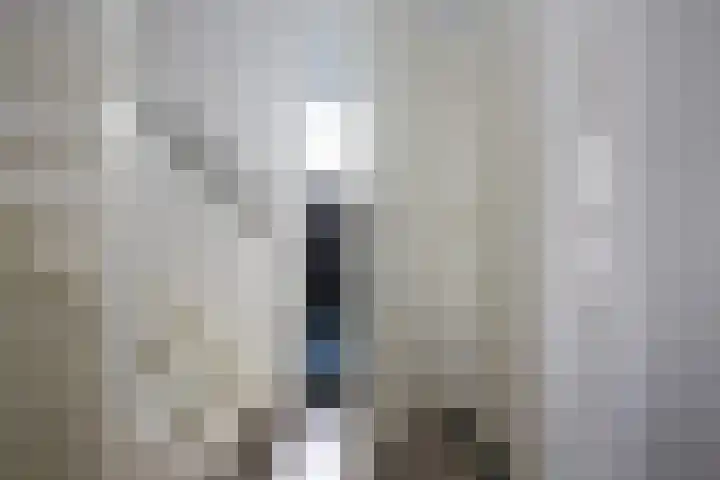 Zeeaster 3 Oosthuizen thumbnail 30