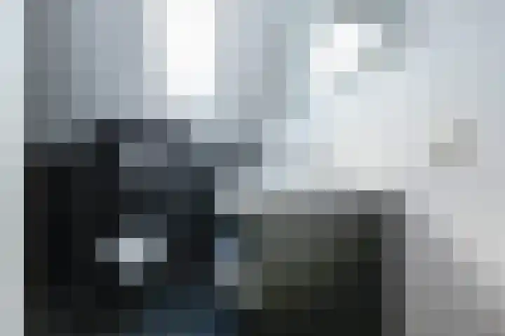 Zeeaster 3 Oosthuizen thumbnail 31