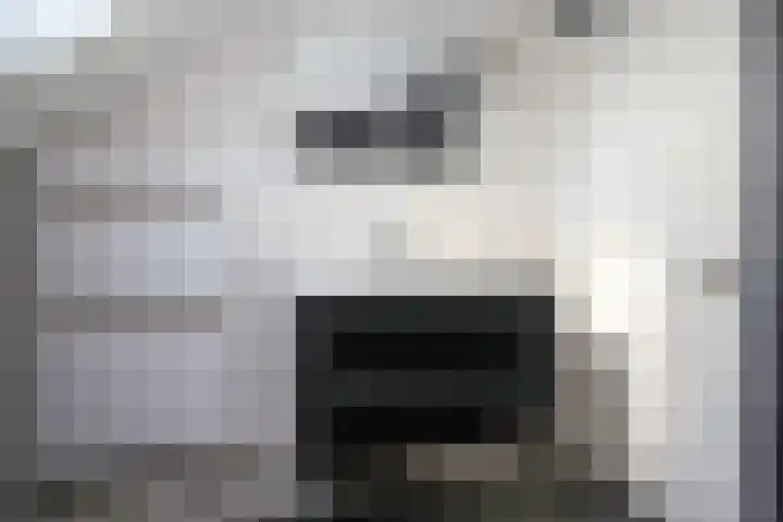 Zeeaster 3 Oosthuizen thumbnail 32