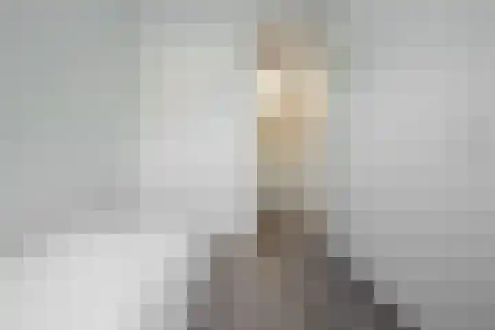 Zeeaster 3 Oosthuizen thumbnail 35