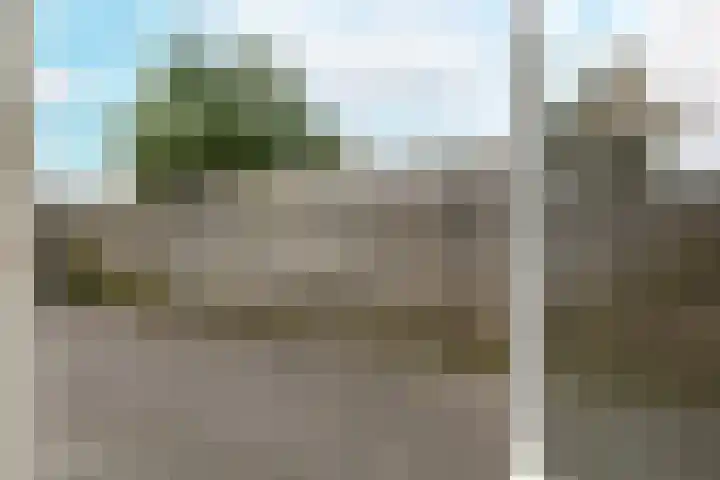 Zeeaster 3 Oosthuizen thumbnail 39