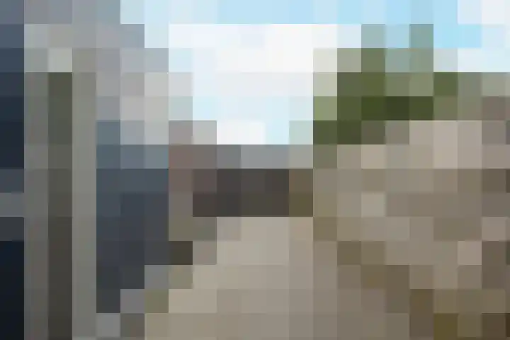 Zeeaster 3 Oosthuizen thumbnail 44
