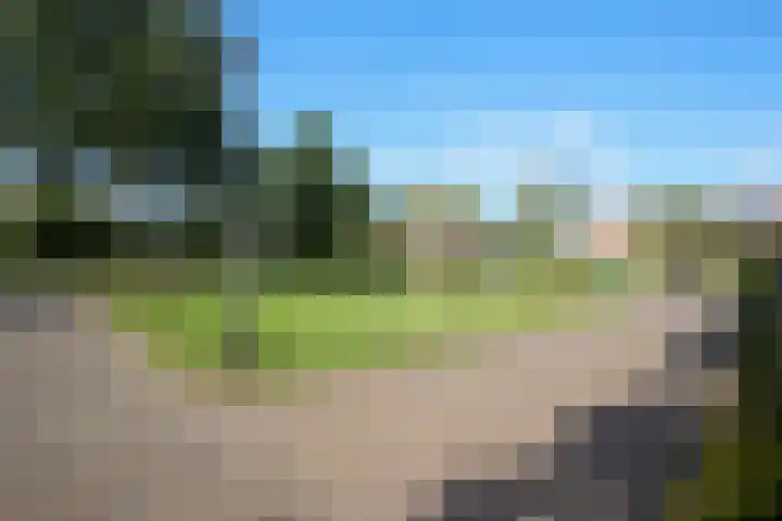 Zeeaster 3 Oosthuizen thumbnail 45