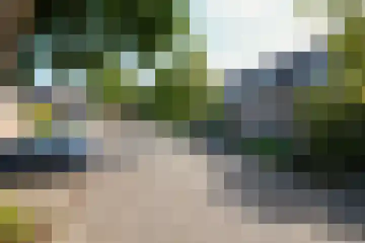 Zeeaster 3 Oosthuizen thumbnail 5
