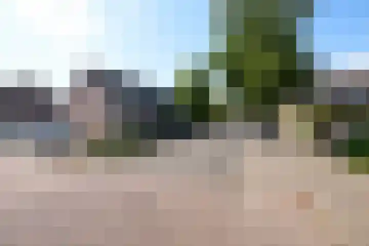 Zeeaster 3 Oosthuizen thumbnail 6
