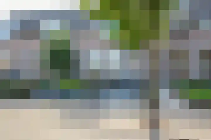 Zeeaster 3 Oosthuizen thumbnail 7