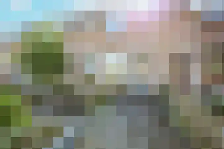 Zeeaster 3 Oosthuizen thumbnail 9