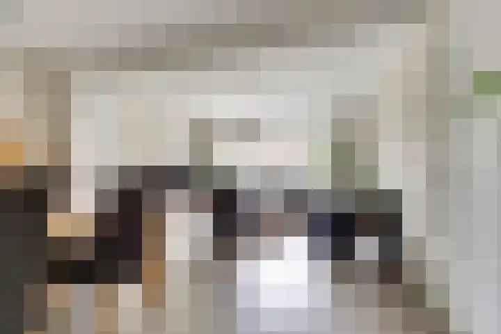 Zeeasterstraat 11 Nieuwerkerk thumbnail 10