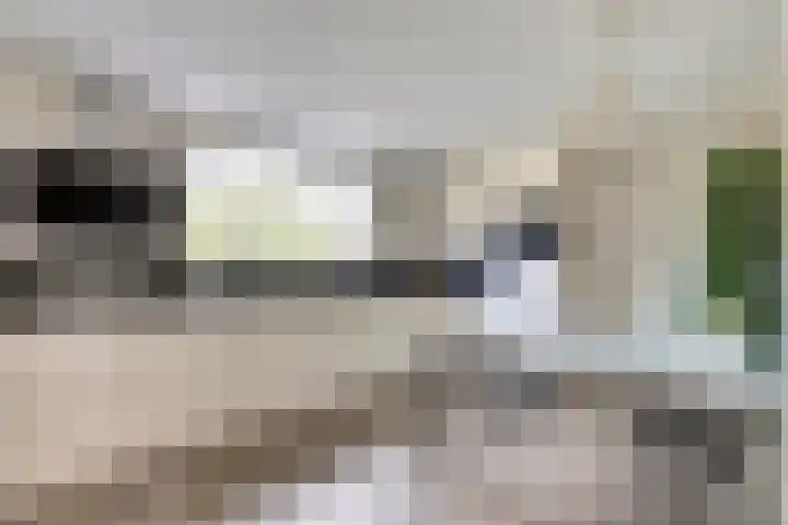 Zeeasterstraat 11 Nieuwerkerk thumbnail 11