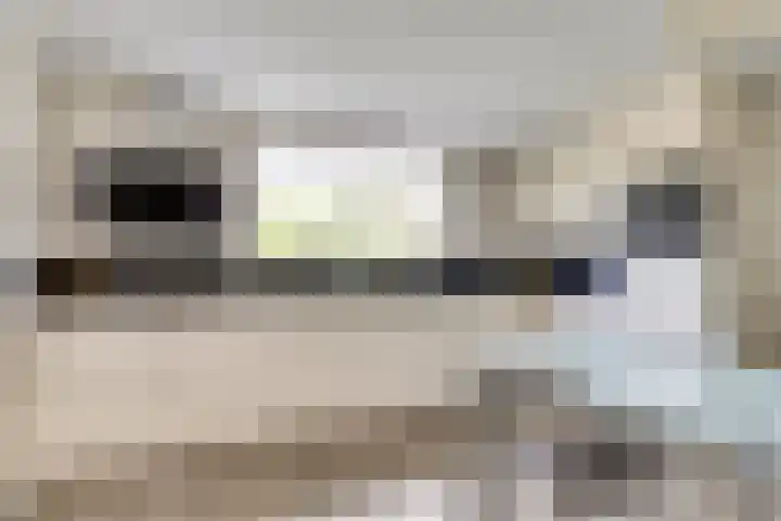 Zeeasterstraat 11 Nieuwerkerk thumbnail 12
