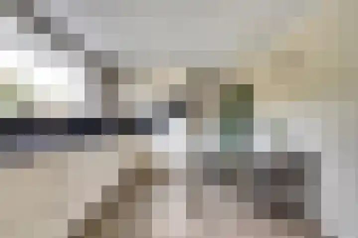 Zeeasterstraat 11 Nieuwerkerk thumbnail 13