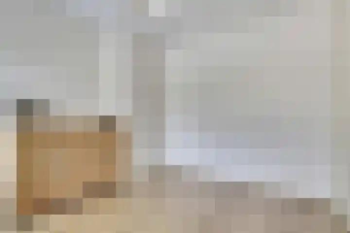 Zeeasterstraat 11 Nieuwerkerk thumbnail 22