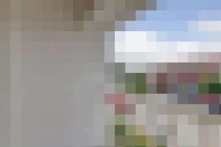 Zeeasterstraat 11 Nieuwerkerk thumbnail 23