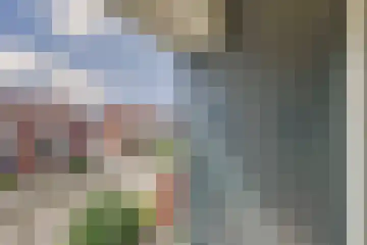 Zeeasterstraat 11 Nieuwerkerk thumbnail 24
