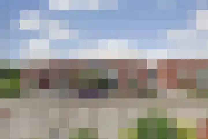 Zeeasterstraat 11 Nieuwerkerk thumbnail 25