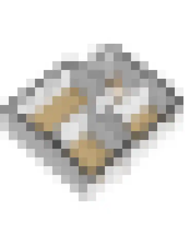 Zeeasterstraat 11 Nieuwerkerk thumbnail 41